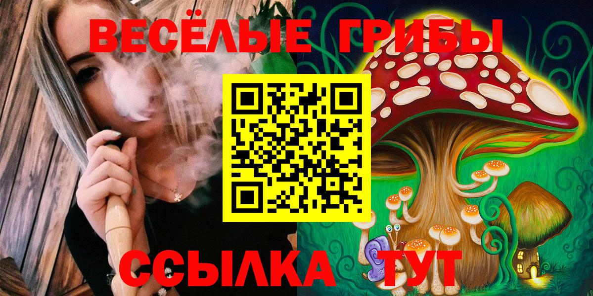 Галлюциногенные грибы Psilocybine cubensis  Вход с VPN  Майкоп  Псилоцибиновые грибы прущие грибы 